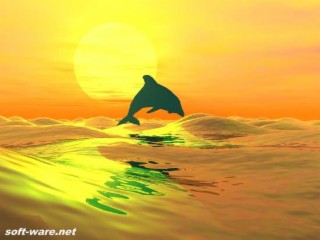 Dolphins Jumping Screenshot