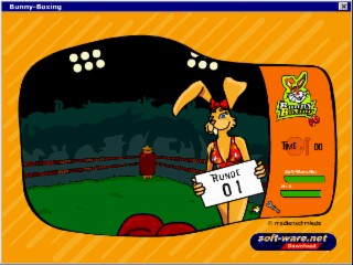 Bunny Boxing Screenshot