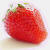 Strawberry Perl für Windows Logo