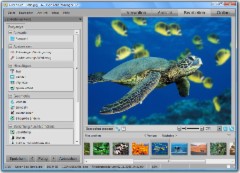 ACDSee Foto-Manager 12