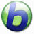 Babylon Pro 9.0.4.13 Logo