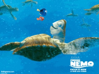 Findet Nemo Screenshot