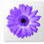 Artweaver Logo Download bei soft-ware.net
