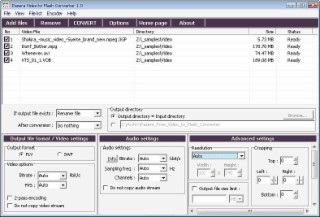 Video to Flash Screenshot