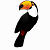 Toucan Logo Download bei soft-ware.net