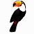 Toucan Logo