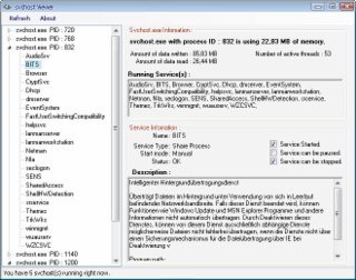 svchost viewer Screenshot