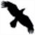Data Crow Logo