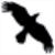 Data Crow Logo Download bei soft-ware.net