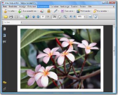 JPEG to PDF 3.7.4307