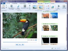 Windows Live Movie Maker