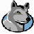 WolfQuest 2.5.1 Logo