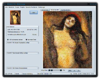 Mosaizer Pro Screenshot