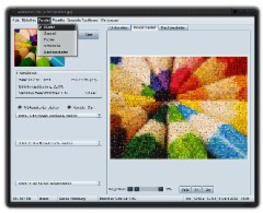 Mosaizer Pro