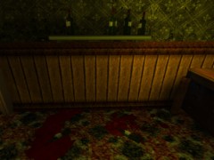 The Corridor 1.0