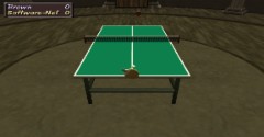 Table Tennis Pro V2