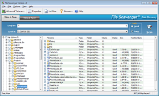 File Scavenger Screenshot