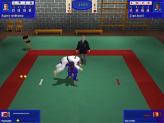 3D Judo Fighting Demo Screenshot