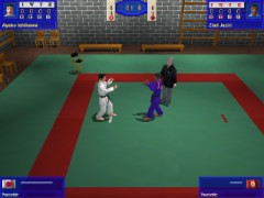 3D Judo Fighting Demo 1.07