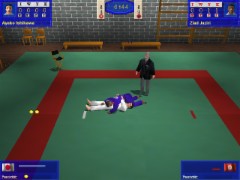 3D Judo Fighting Demo 1.07