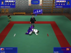 3D Judo Fighting Demo 1.07