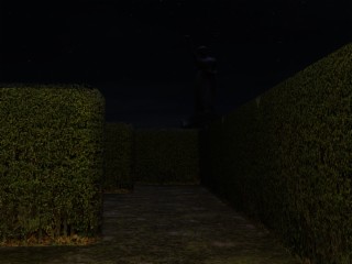 Slender Man's Shadow Claustrophobia Screenshot