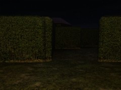 Slender Man's Shadow Claustrophobia