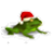 Christmas Super Frog Logo