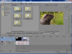 Vegas Pro 11