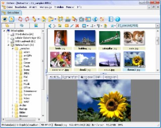 XnView Screenshot