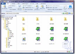 WinZip 17.5