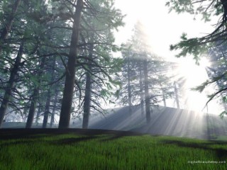 Morninglight Screenshot