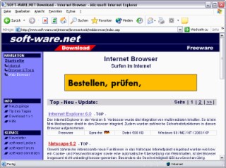 IE 6.0 Screenshot