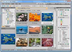 ACDSee Foto-Manager 12