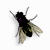 Fly on Desktop 1.3 Logo Download bei soft-ware.net