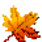 Leaves Bildschirmschoner 2.0 Logo Download bei soft-ware.net Leaves Bildschirmschoner 2.0 Logo Download bei soft-ware.net