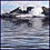 Flood Logo Download bei soft-ware.net Flood Logo Download bei soft-ware.net