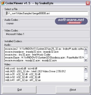 Codec Viewer Screenshot