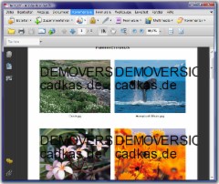 PDF-Fotoalbum