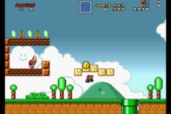 Mushroom Kingdom Fusion 0.53