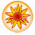 Studioline Photo Basic Logo Download bei soft-ware.net