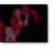 Luna Game Logo Download bei soft-ware.net Luna Game Logo Download bei soft-ware.net