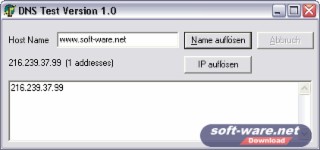 DNS Test Screenshot