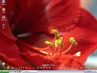 FlowerPower Screenshot