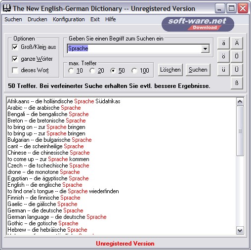 The New Dictionary Screenshot