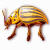 Arovax AntiSpyware 2.1.153 Logo Download bei soft-ware.net Arovax AntiSpyware 2.1.153 Logo Download bei soft-ware.net
