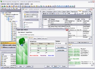 SQL Manager Screenshot