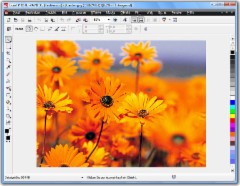 CorelDRAW Graphics Suite X5