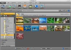 MAGIX Foto Manager 10