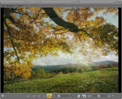 MAGIX Foto Manager 10